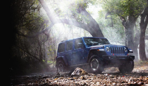 Jeep traveling through the woods near Kerrville, TX