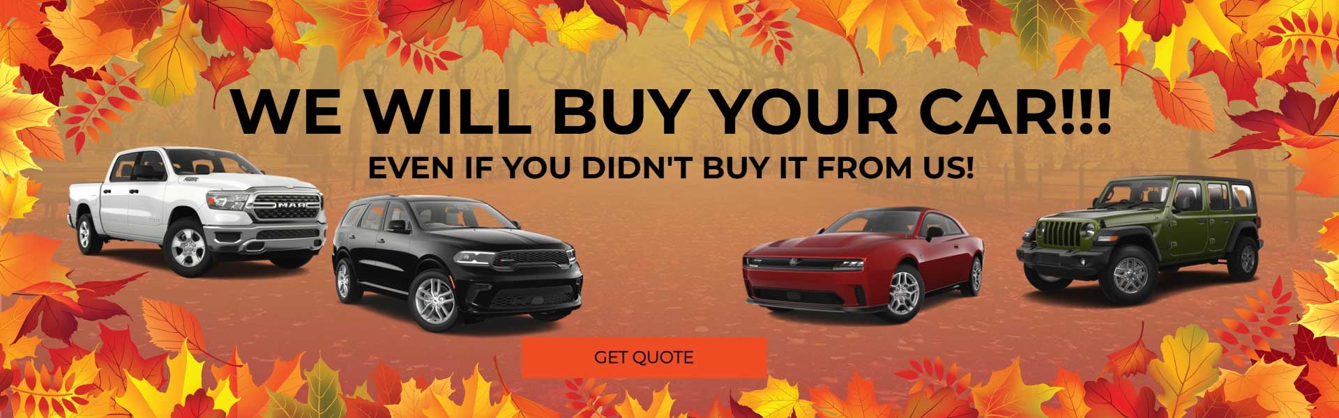 We Will Buy Your Car